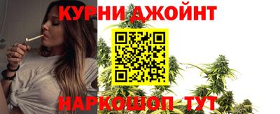 дурь Гай