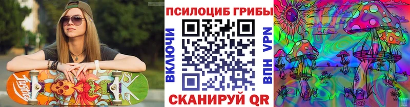 купить   Соль-Илецк  Галлюциногенные грибы Psilocybe 