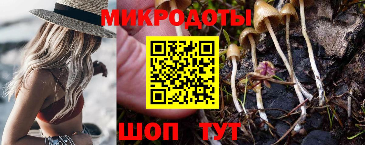 Псилоцибиновые грибы Cubensis Соль-Илецк