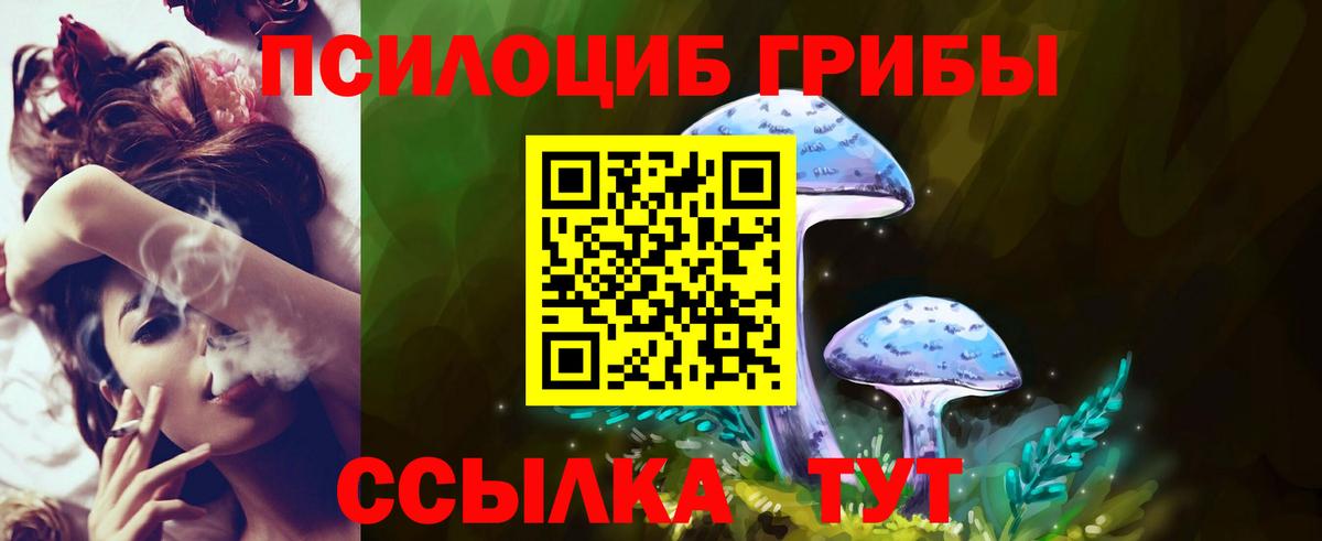Соль-Илецк  Псилоцибиновые грибы ЛСД  Вход с VPN  Галлюциногенные грибы Cubensis 
